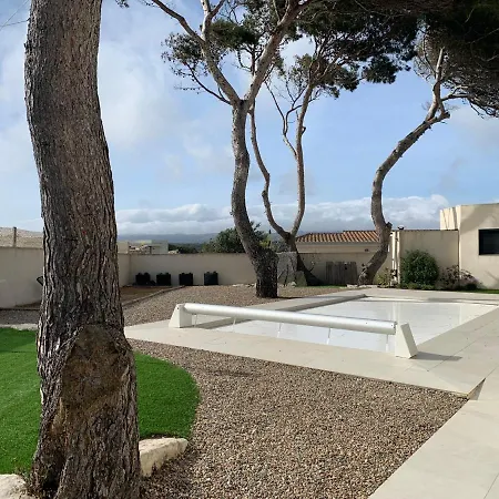 Laricio Bonifacio (Corsica)