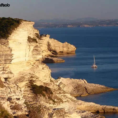 Laricio Bonifacio (Corsica)