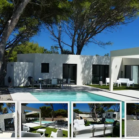 Laricio * ボニファシオ