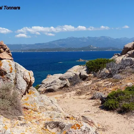 Laricio ボニファシオ